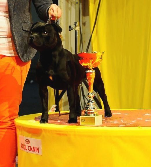 Publication : Mc performance