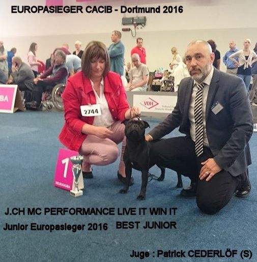 Publication : Mc performance