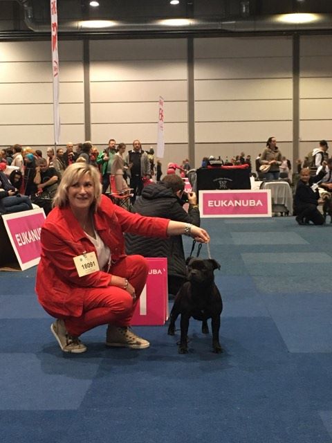 Publication : Mc performance