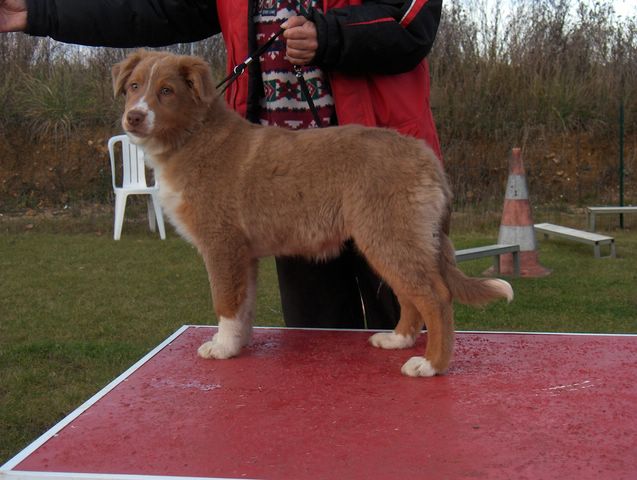 Publication : Des Anges De Crystal