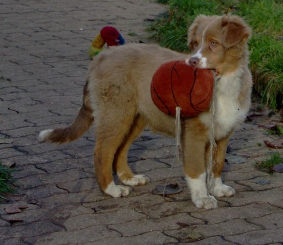 Publication : Des Anges De Crystal