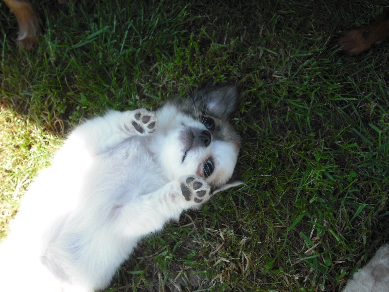 Publication : Du Plateau De Gohelle Auteur : hina