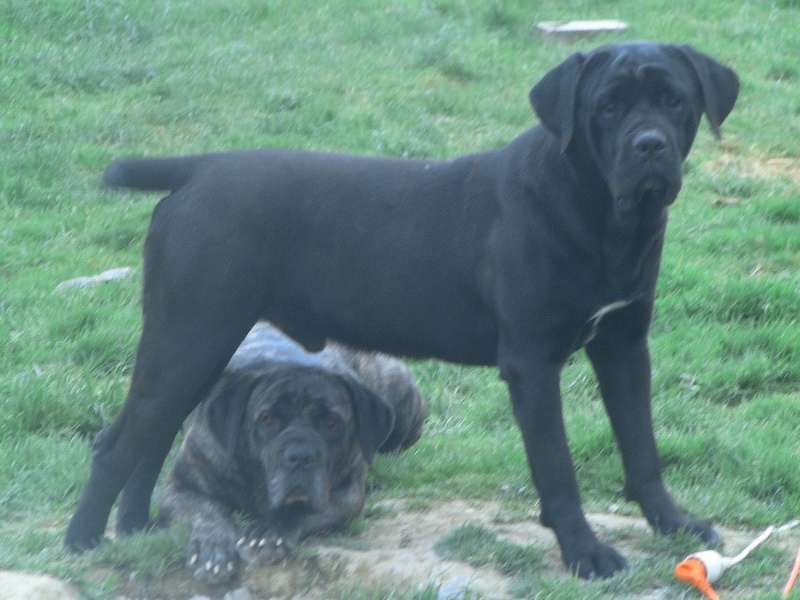 Publication : du Domaine du Petit Colombier Auteur : louise manca