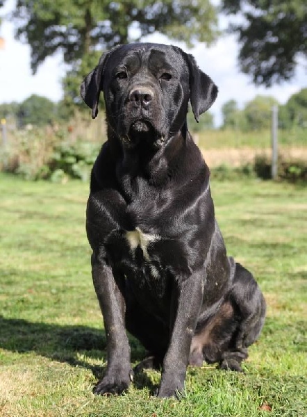 Publication : du Domaine du Petit Colombier Auteur : louise manca