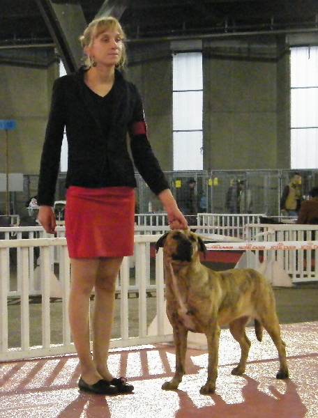 CH. perro caracteristico La esperanza - CACS Meilleur de Race