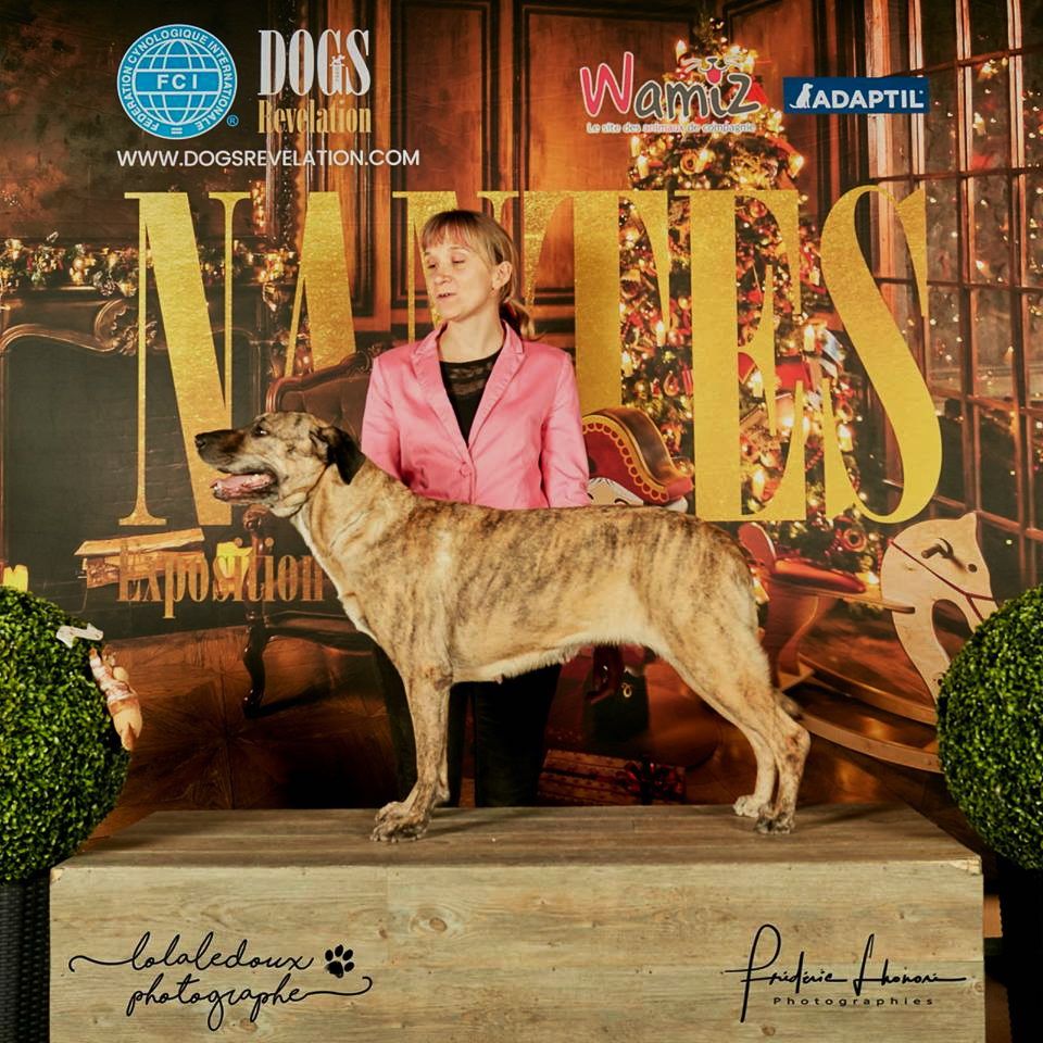 CH. perro caracteristico La esperanza - CACIB Meilleur de Sexe Opposé