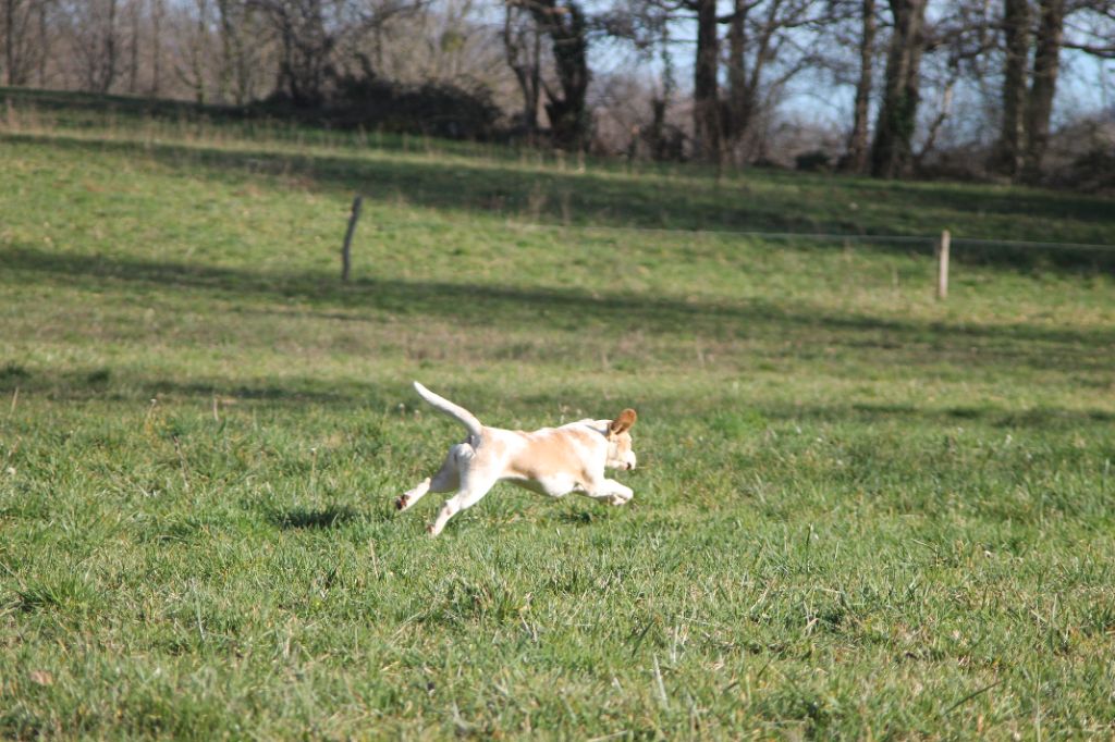 Publication : Diwar Ar Maen Gwenn Auteur : Emilien Moreaud