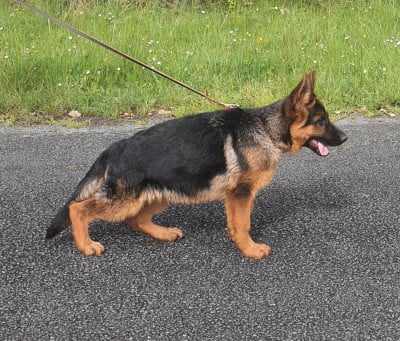 Du Roc De Grand Nourd