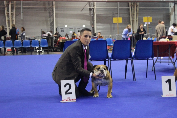 cappo de'loreno Mohito - Exc 2EME