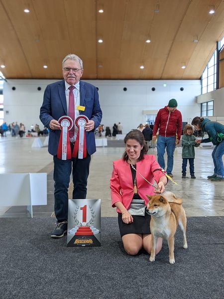 CH. Tomoko no yume Ô Shiryû - 1er EX CACS CACIB BOB