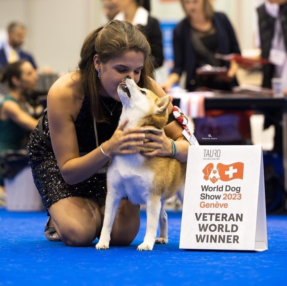 CH. J'katsumi no misaki go Kami No Uma - 1er ex CACV CACIBV Best Veteran