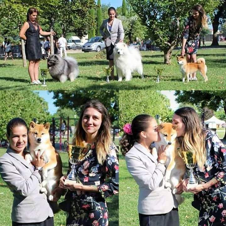 CH. J'katsumi no misaki go Kami No Uma - 1er Exc CACS BOB - BOG 3e