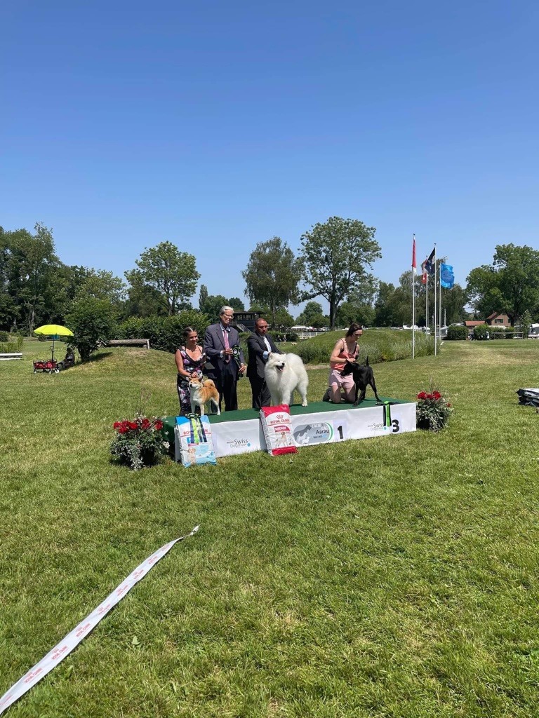 CH. J'katsumi no misaki go Kami No Uma - Meilleur vétéran, meilleur de race, 2e meilleur du groupe 5