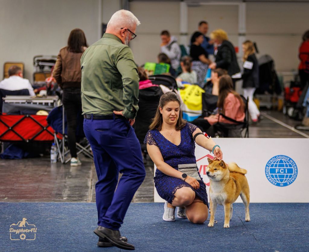 CH. Tomoko no yume Ô Shiryû - 1er Ex CAC RCACIB