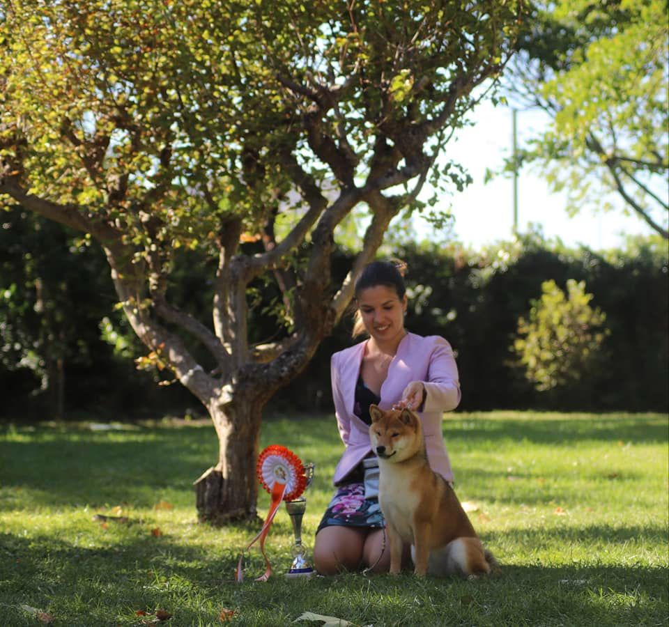 CH. Tomoko no yume Ô Shiryû - 1TP Meilleur Puppy 2e Meilleur Puppy de l'exposition