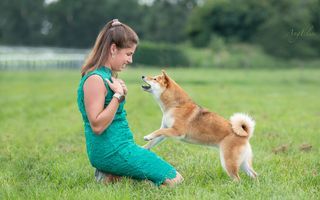 CH. Tomoko no yume Ô Shiryû - 1er ex CACS BEST OF BREED