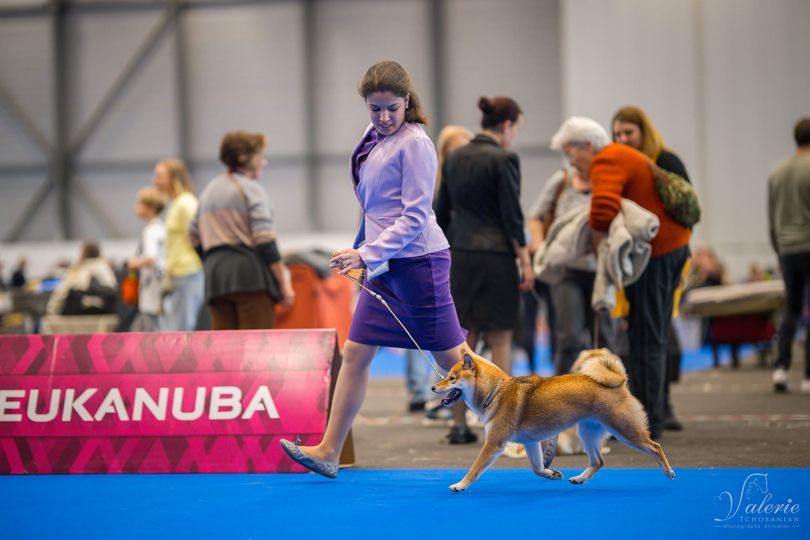 CH. Tomoko no yume Ô Shiryû - 1er EX CACS