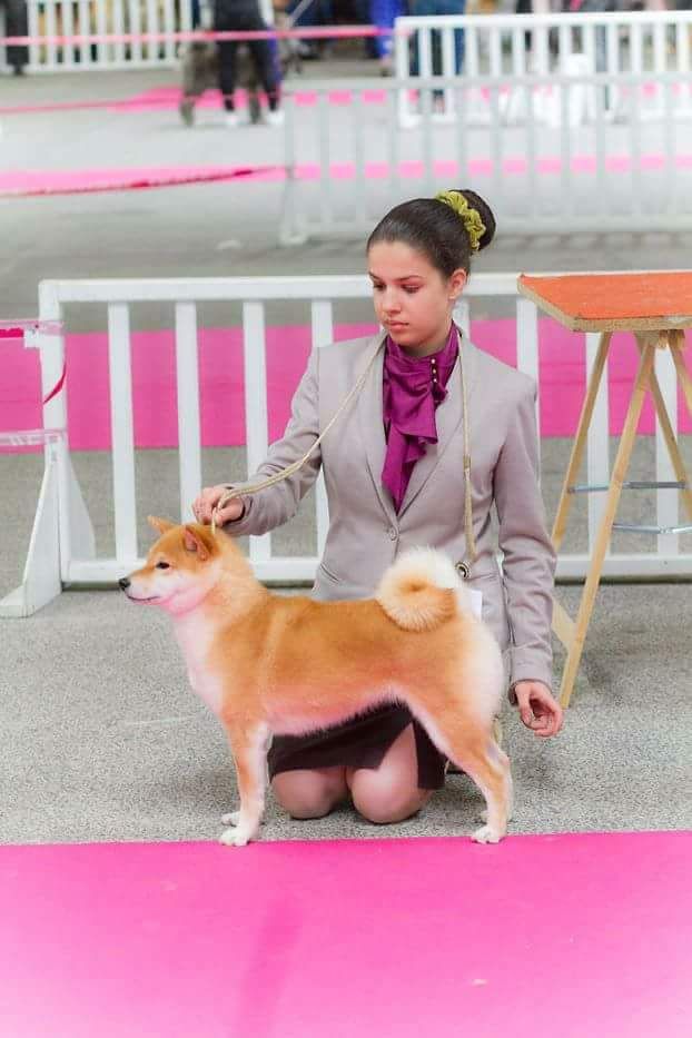 CH. J'katsumi no misaki go Kami No Uma - R-CACS