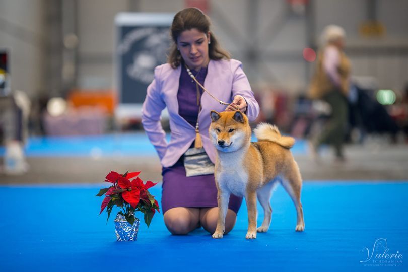 CH. Tomoko no yume Ô Shiryû - 1er EX CACS