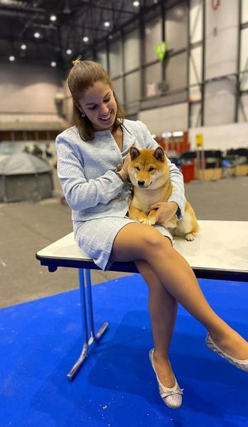 CH. Tomoko no yume Ô Shiryû - 1er Ex CACJ CACIBJ BEST JUNIOR