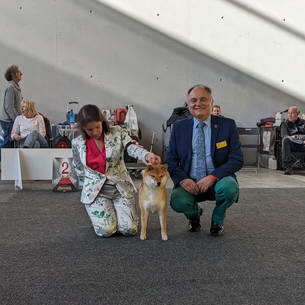 CH. Tomoko no yume Ô Shiryû - 1er EX CACS CACIB BOS