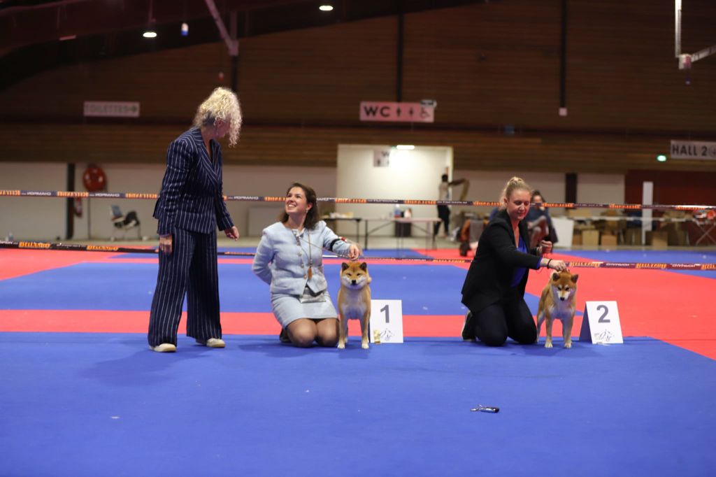 CH. Tomoko no yume Ô Shiryû - 1er EX Meilleure Championne