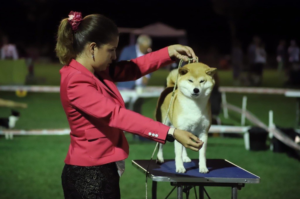 CH. J'katsumi no misaki go Kami No Uma - Meilleur vétéran, Meilleur de race