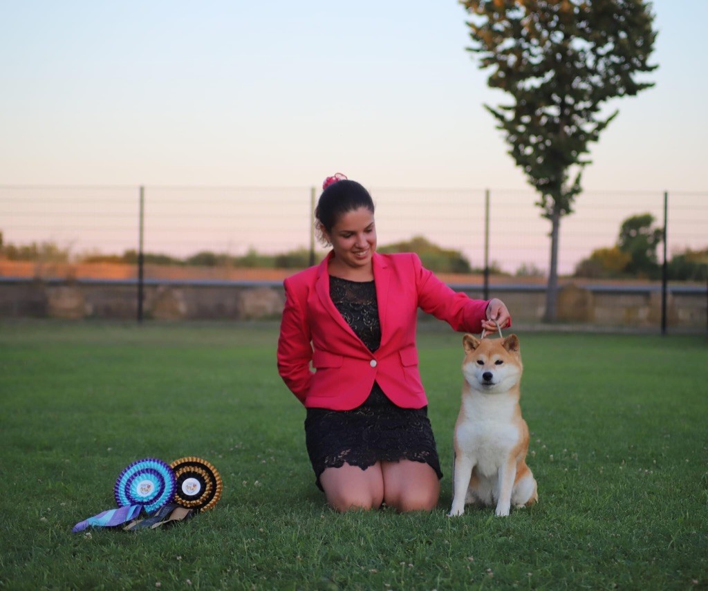 CH. J'katsumi no misaki go Kami No Uma - Meilleur vétéran, Meilleur de race