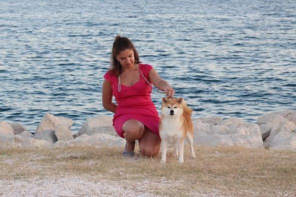 CH. J'katsumi no misaki go Kami No Uma - 1er Ex CACV CACIBV BEST VETERAN