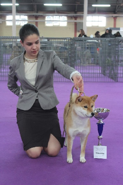 CH. J'katsumi no misaki go Kami No Uma - classe inter 1ere exc CACS Meilleure de Race