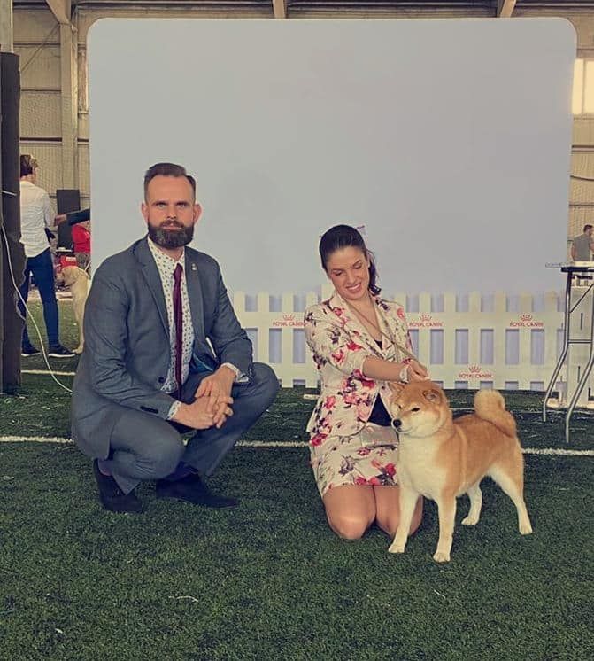 CH. J'katsumi no misaki go Kami No Uma - 1er EX CACS CACIB BOB BOG3