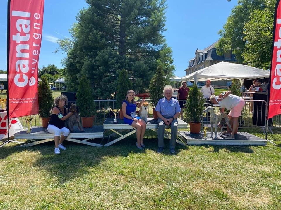 CH. J'katsumi no misaki go Kami No Uma - Meilleur vétéran, Meilleur de race et Meilleur vétéran de l?exposition