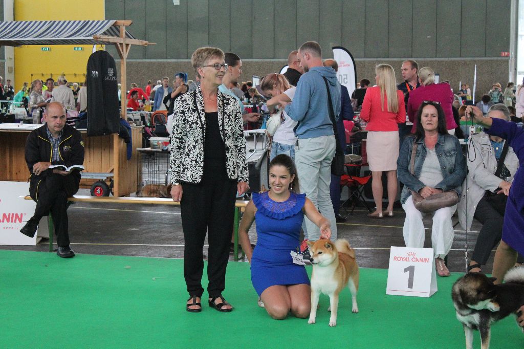 CH. J'katsumi no misaki go Kami No Uma - 1ER EX RCAC RCACIB