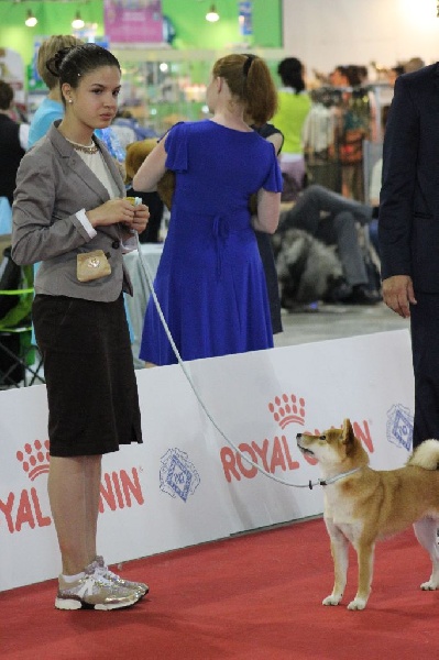 CH. J'katsumi no misaki go Kami No Uma - Excellent