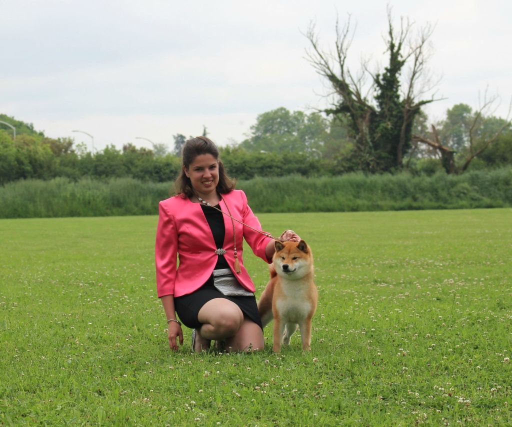 CH. Tomoko no yume Ô Shiryû - 1er CAC BEST OF BREED et 3e MEILLEUR DU GROUPE