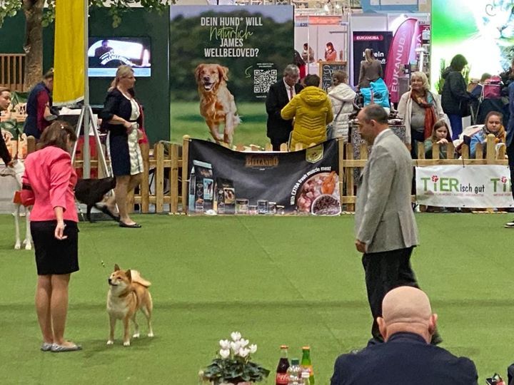 CH. Tomoko no yume Ô Shiryû - 1er EX CACS RCACIB