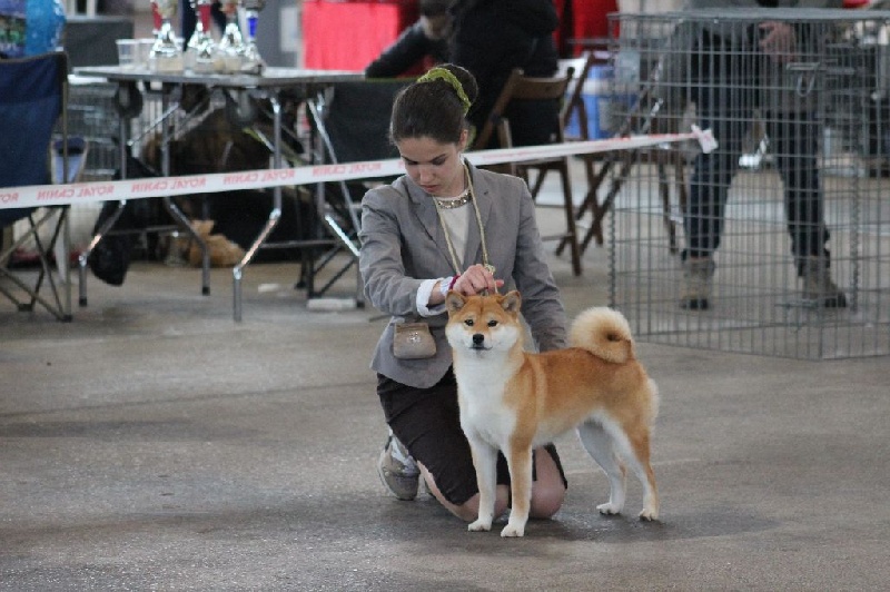 CH. J'katsumi no misaki go Kami No Uma - Classe Inter 1er Exc. RCACS RCACIB