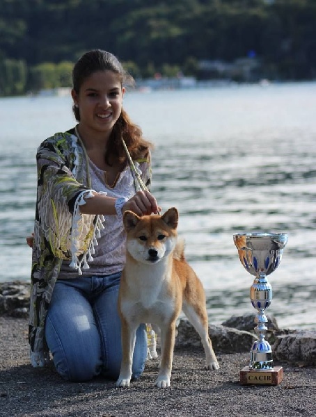 CH. J'katsumi no misaki go Kami No Uma - Classe Inter 1er Ex. CACS CACIB BOS