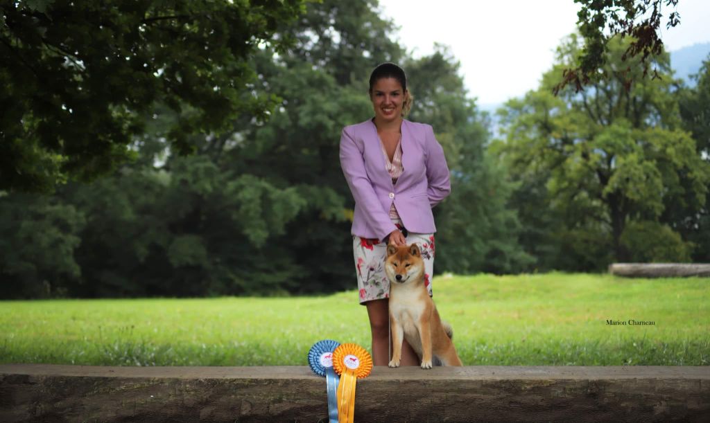 CH. Tomoko no yume Ô Shiryû - 1TP Meilleur Puppy