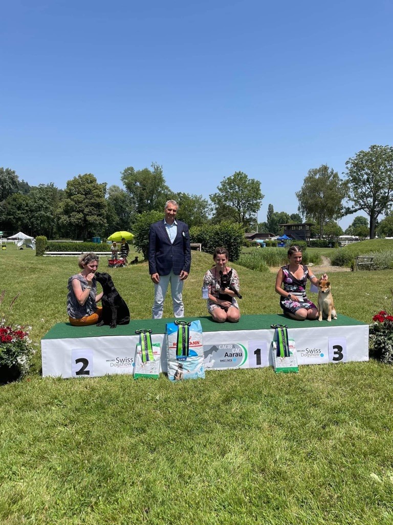 CH. Tomoko no yume Ô Shiryû - Best baby, et 3e meilleur baby de l?exposition