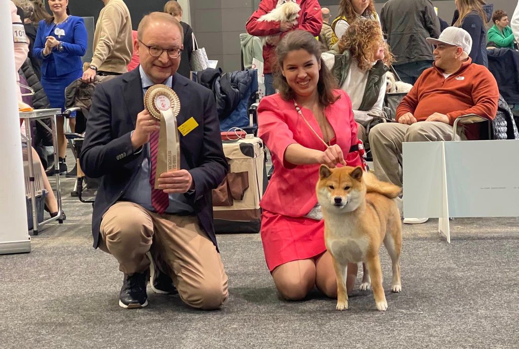 CH. Tomoko no yume Ô Shiryû - 1er EX CACS CACIB BEST OF BREED