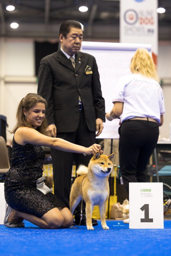 CH. Tomoko no yume Ô Shiryû - 1er EX CACS