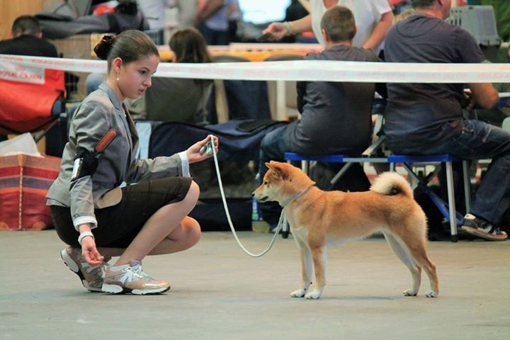 CH. J'katsumi no misaki go Kami No Uma - Classe Jeune 2e Ex.