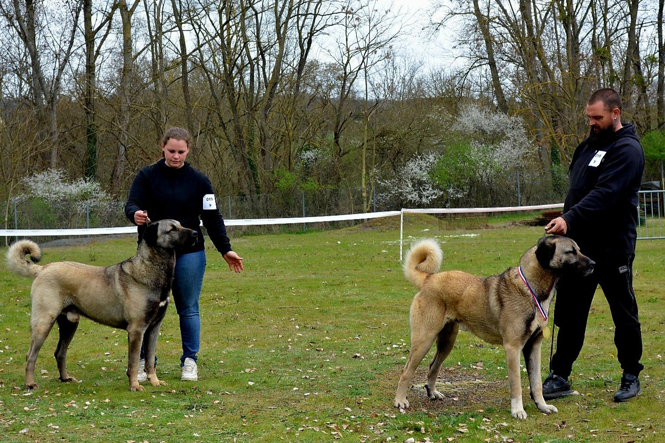 Publication : The Legend Of Kangal