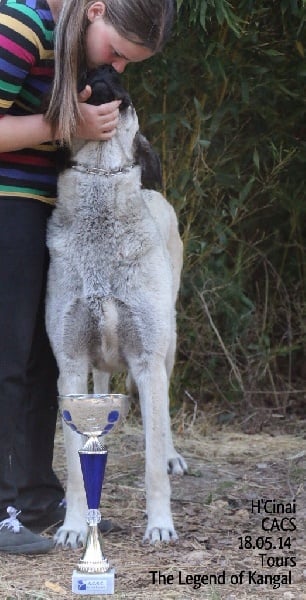 Publication : The Legend Of Kangal