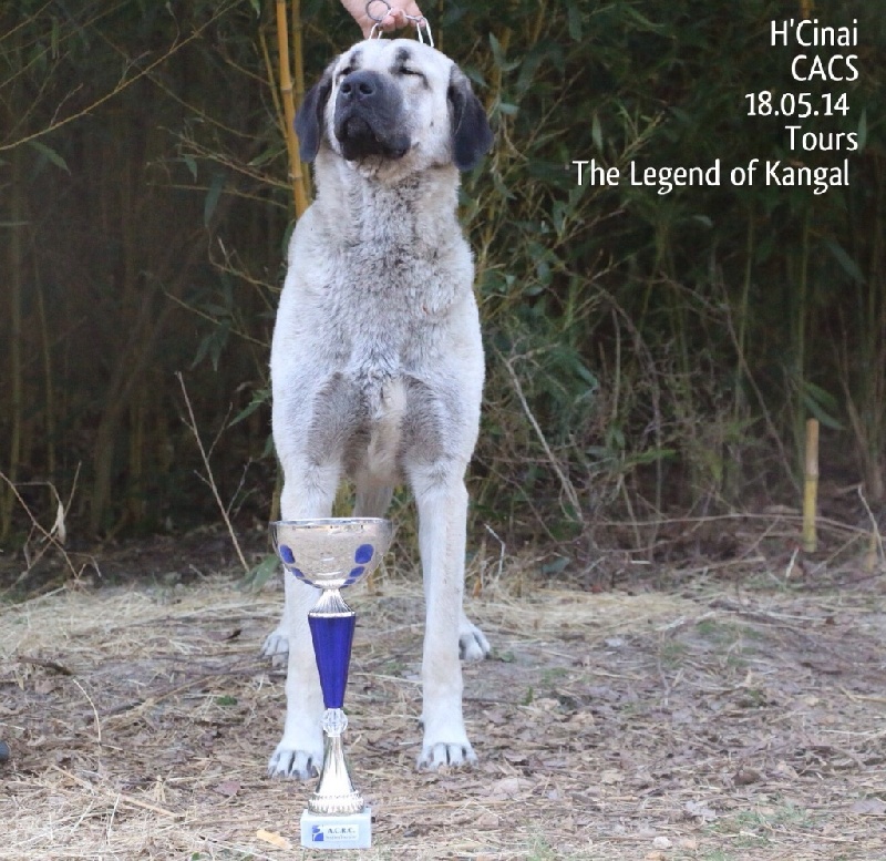 Publication : The Legend Of Kangal
