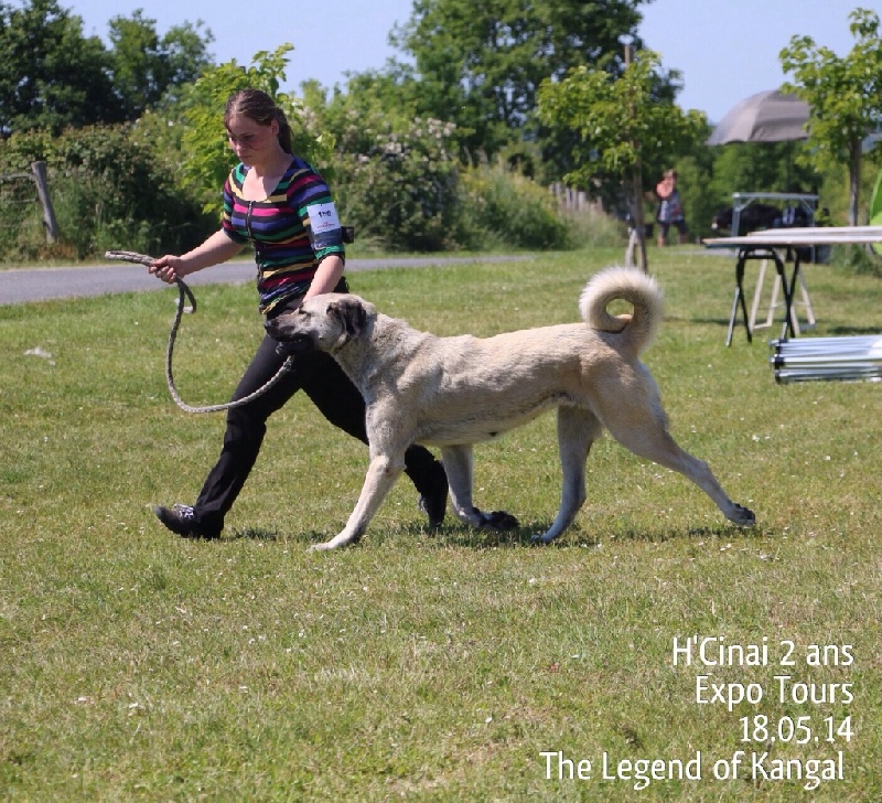 Publication : The Legend Of Kangal