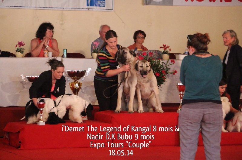 Publication : The Legend Of Kangal Auteur : Antunes Amelle