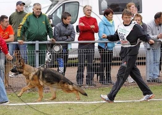 Hamnesia Di Voghenza - Classe 9-12 mois : 6 ieme Tres Prometteur