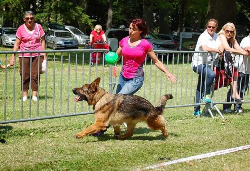 Hamnesia Di Voghenza - Classe travail : 4ième Excellent